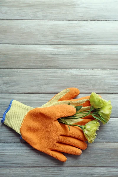 Beautiful composition of flower and garden gloves
