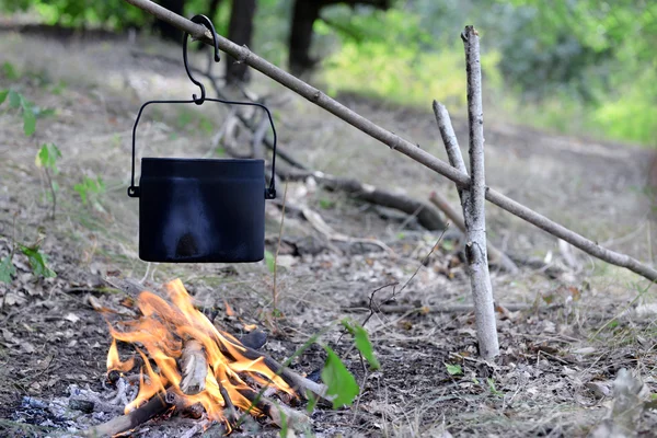 Kettle on fire in forest