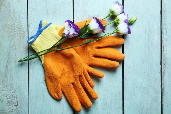 Beautiful composition of flower and garden gloves on light-blue wooden background