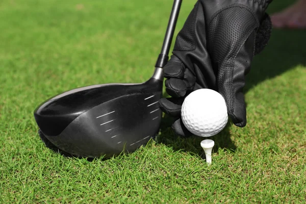 Hand in black glove with golf club and ball on green grass background