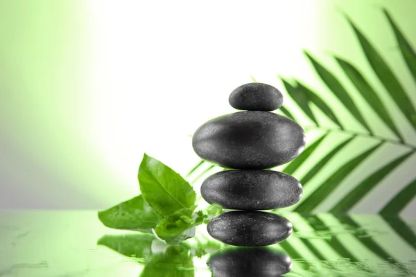 Spa stones and green palm branch on light green background