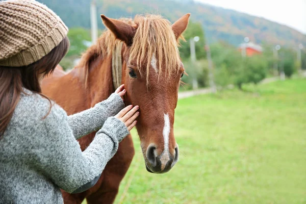 Girl feeding horse on meadow