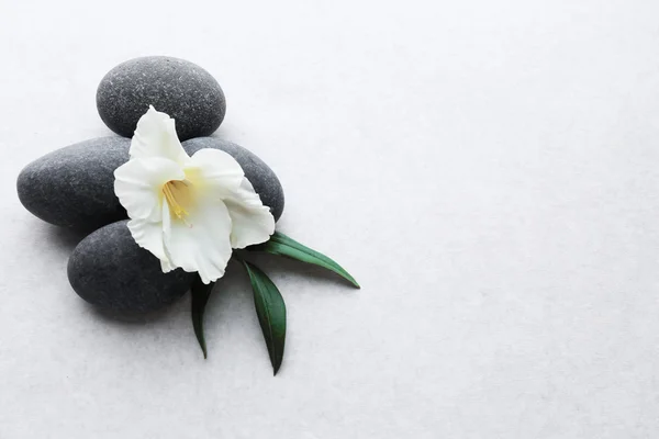 Spa stones with flower on light background