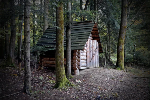Wooden House in forest