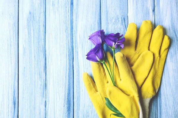 Gardener\'s gloves and violet flowers