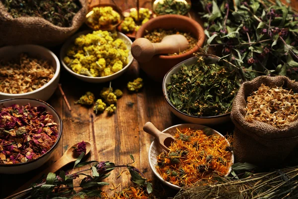 Assortment of dry medicinal herbs