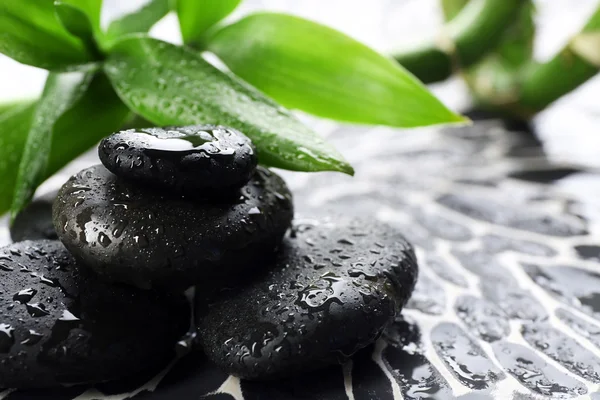 Spa stones and bamboo branch on dark background