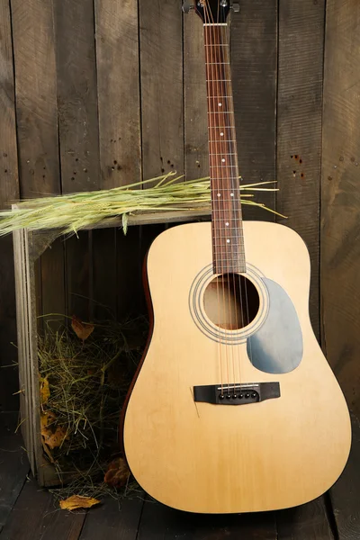 Acoustic guitar against box with hay