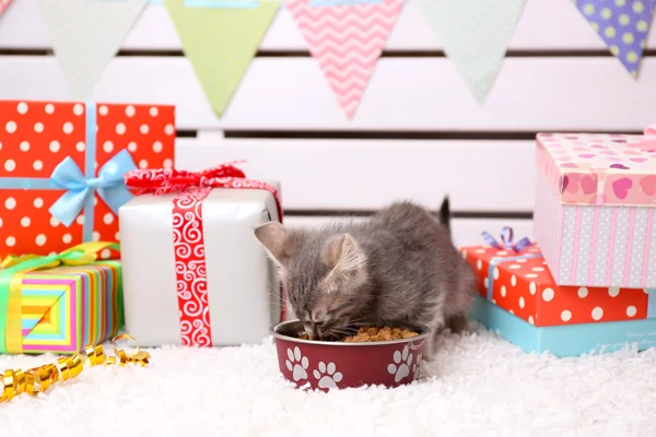 Little grey kitten celebrating birthday