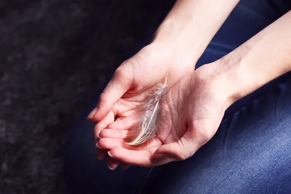 Hands holding a feather