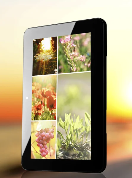 Tablet PC with images of natural objects