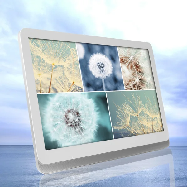 Tablet PC with images of natural objects