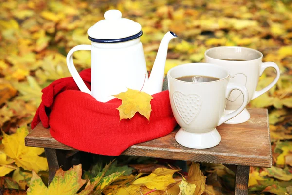 Autumn composition with hot beverage on nature background