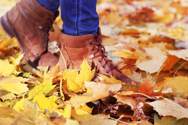 Female legs in boots on autumn leaves