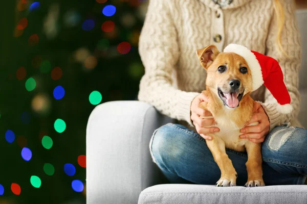 Female person holding small dog