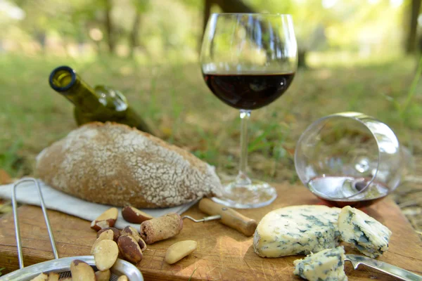 Picnic composition of red wine, delicious cheese, nuts and bread on wooden board, outdoors