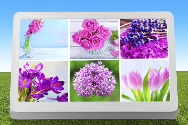 Tablet PC with images of nature objects