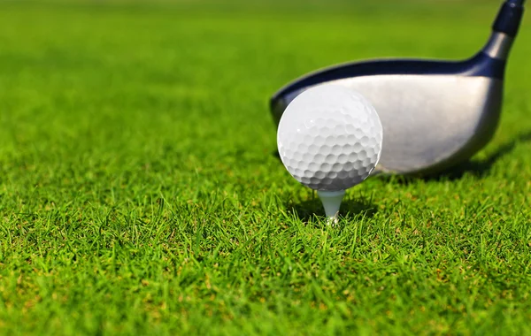 Golf club and ball on a green grass, close-up