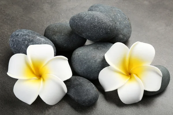 Hot spa stones with flowers on grey background, close-up