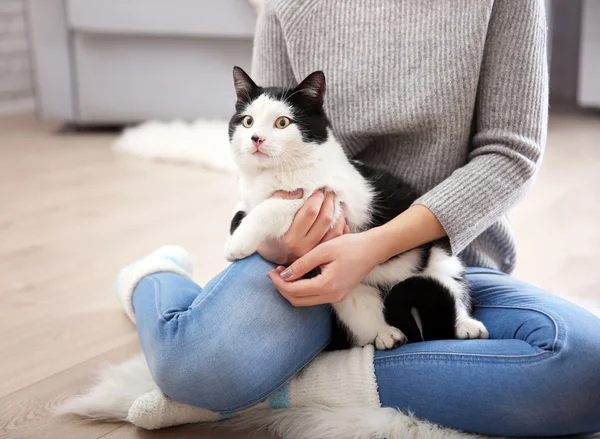 Woman with beautiful cat on carpet, indoor
