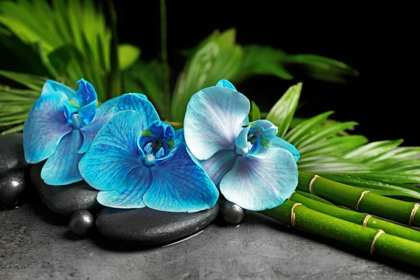 Beautiful spa composition with blue orchid, bamboo and stones