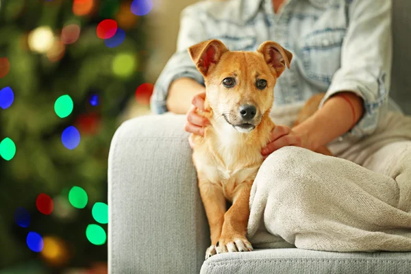 Female person holding small dog