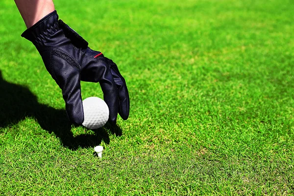 Hand in black glove with golf ball