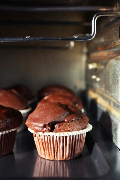 Chocolate cup-cakes in oven, close up