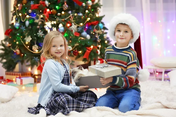 Children and fluffy cat in a box