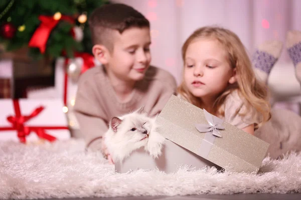Children and fluffy cat in a box