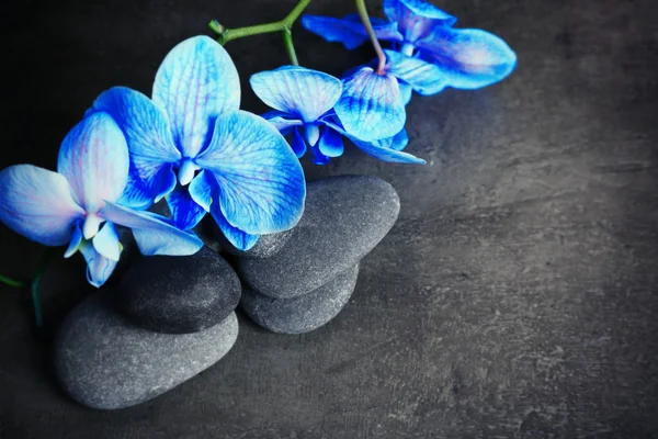 Spa composition with blue orchid