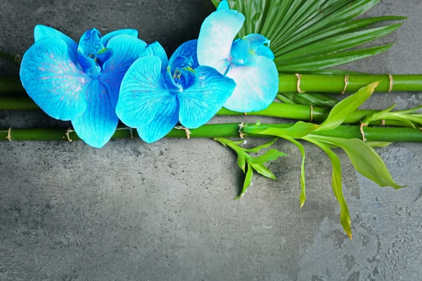 Spa composition with blue orchid