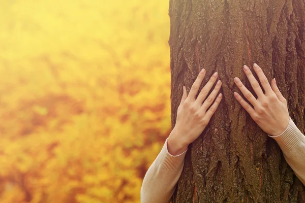 Hands hugging tree