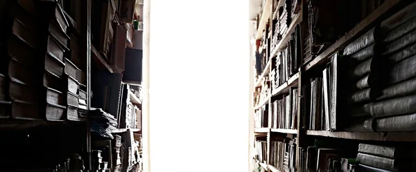 Library bookshelves with books