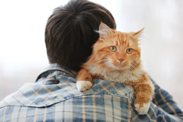 Red cat sitting on a man's shoulder
