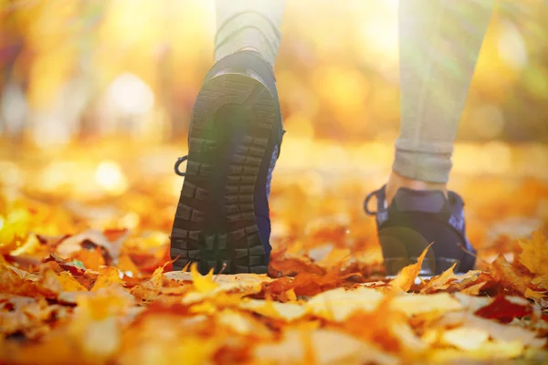 Running feet in autumn park