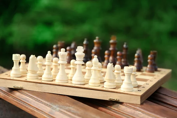 Chess pieces and game board