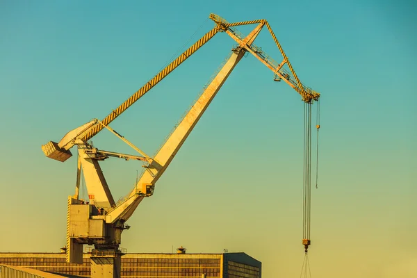 Heavy load dockside cranes