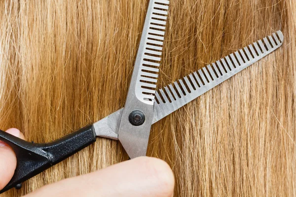 Close up detail. Special scissors cutting hair.