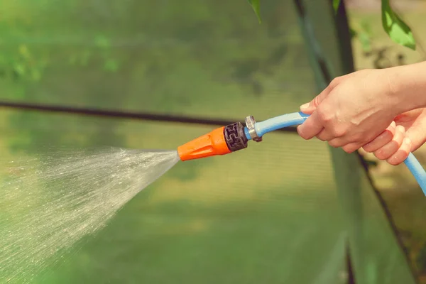 Working watering garden from hose