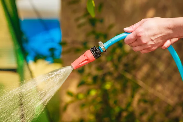 Woman watering garden from hose