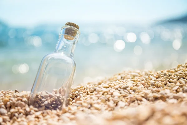 Empty bottle on the seashore