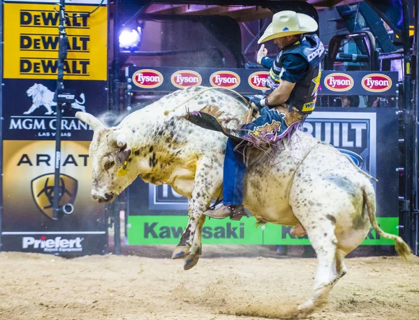 PBR bull riding world finals