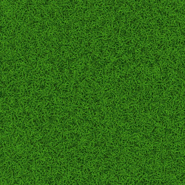 Soccer grass field