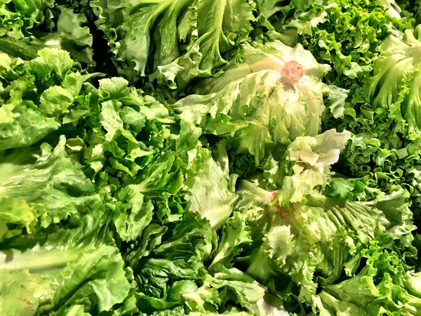 Box of Salad at the super market