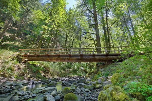 Wood Log Bridge Structure Over Gorton Creek