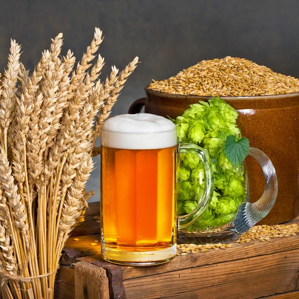 Glass of beer with raw material for beer production