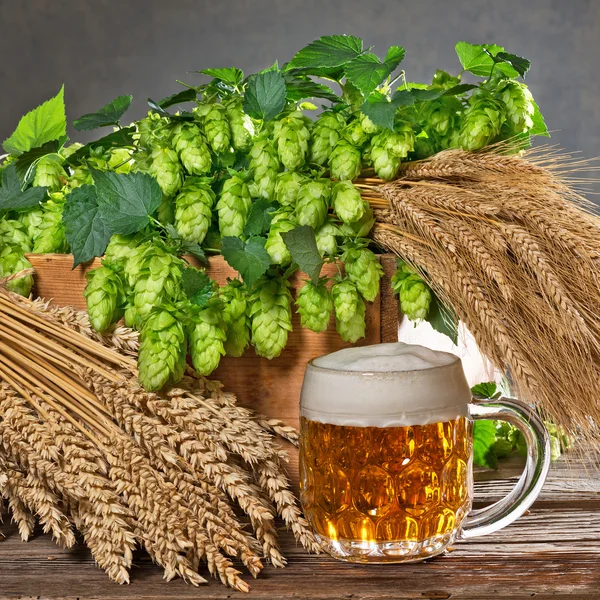 Still life with hop cones and raw material for beer production
