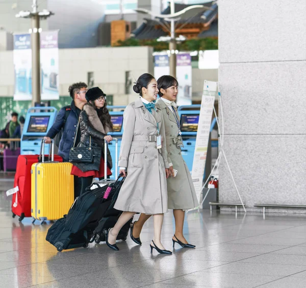 Two Asian Korean air flight attendants at Incheon International airport