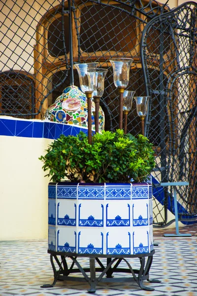 Flower bed in Casa Batllo building in Barcelona in Spain